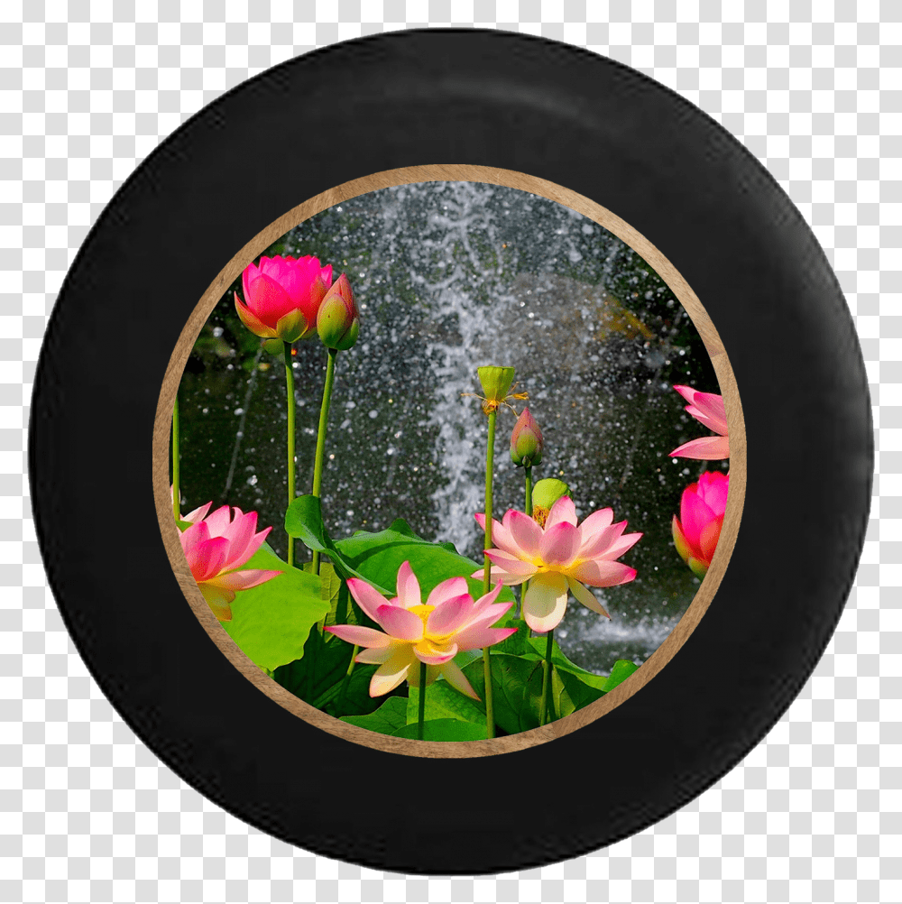 Lotus Blossom Waterfall Rain Flowers Jeep Camper Spare Lotus Beautiful Flower Nature, Plant, Flower Arrangement, Petal, Rug Transparent Png