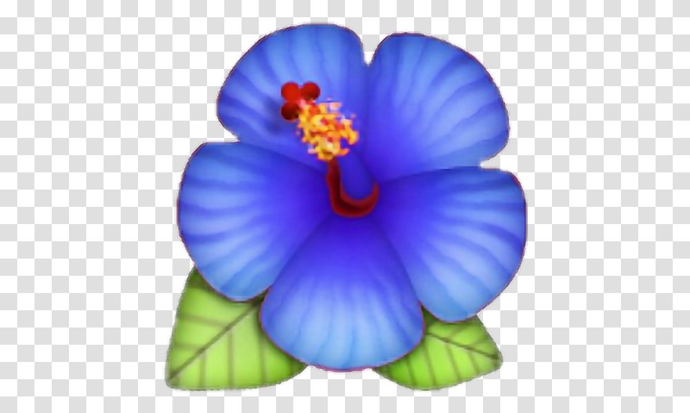 Lotus Blue Rose Morelife Hibiscus Emoji Flower Blue, Plant, Blossom, Crocus, Petal Transparent Png