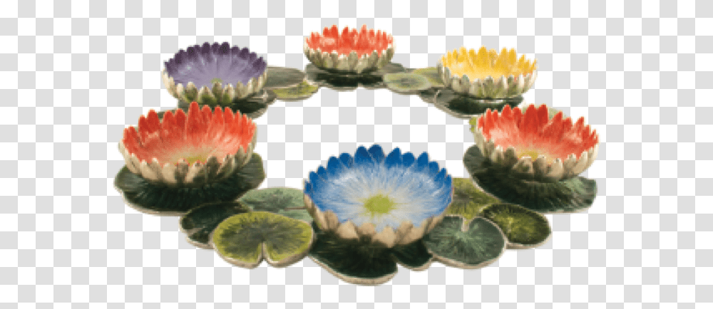 Lotus Centerpiece Seder Plate Passover Seder Plate, Plant, Flower, Flower Arrangement, Daisy Transparent Png