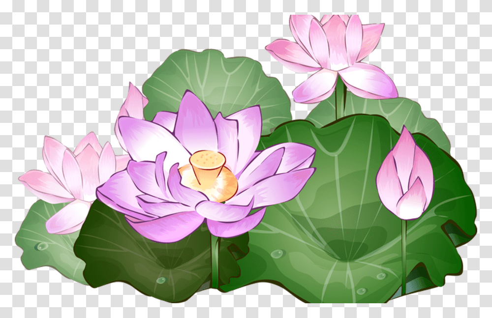 Lotus Clipart Pencil And In Color Lotus Lotus Flower Art Free, Plant, Lily, Blossom, Pond Lily Transparent Png