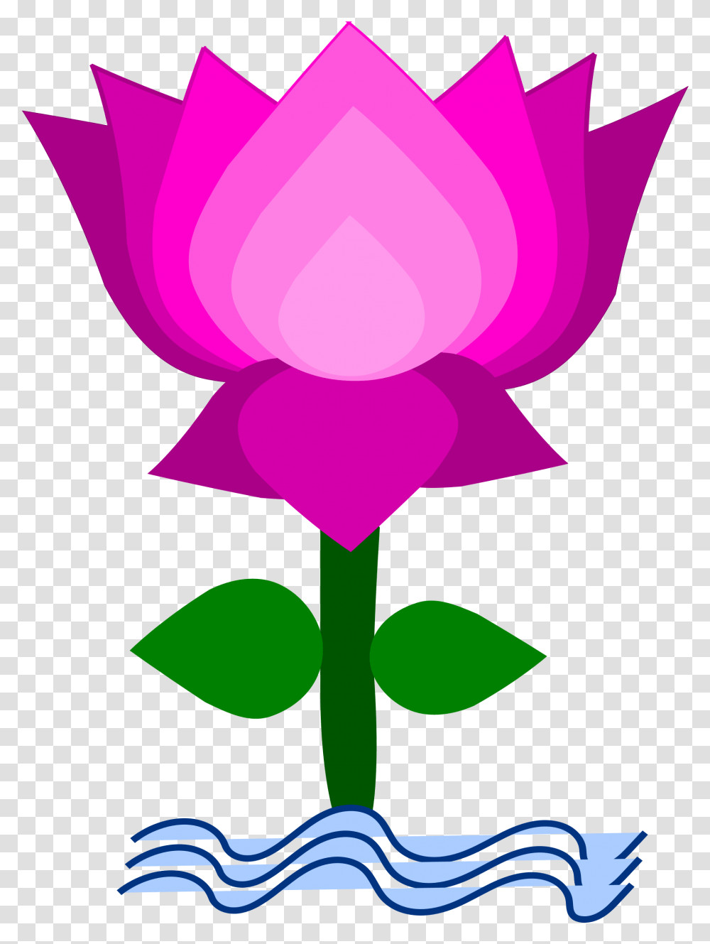 Lotus Clipart, Plant, Flower, Blossom, Rose Transparent Png