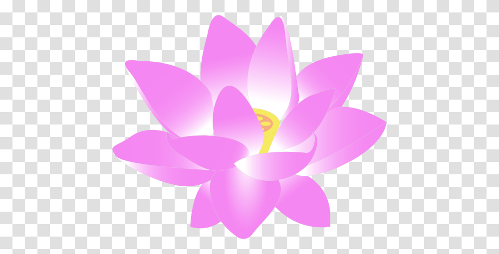 Lotus Clipart, Plant, Petal, Flower, Blossom Transparent Png