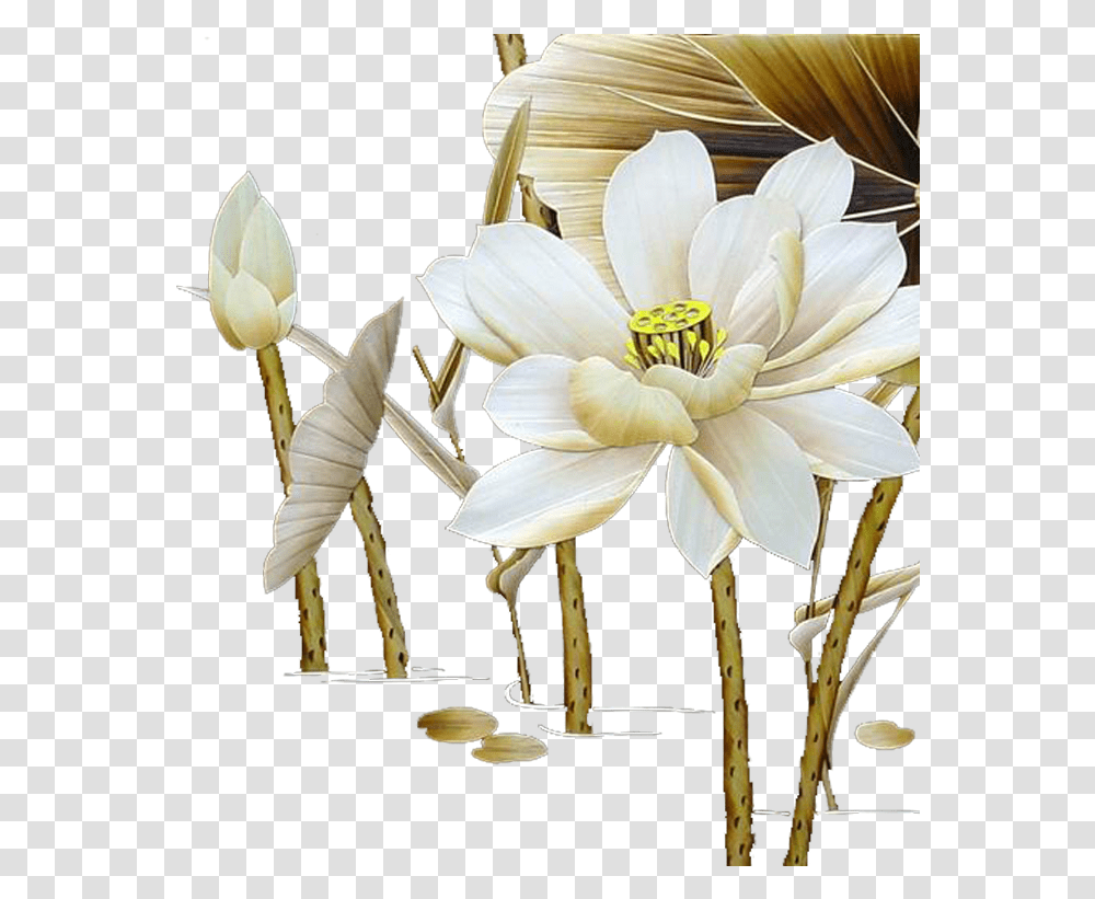 Lotus Download, Plant, Flower, Blossom, Lily Transparent Png