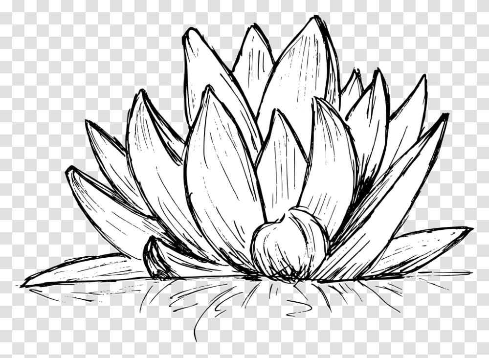 Lotus Drawing 4 Line Art, Plant, Dahlia, Flower, Blossom Transparent Png