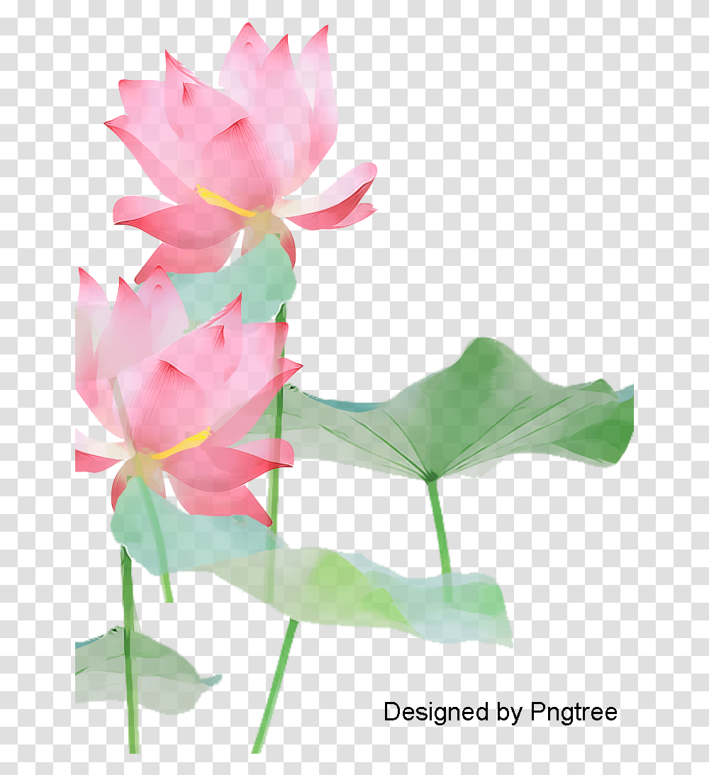 Lotus Flower Background Flowers Clipart, Plant, Rose, Blossom, Leaf Transparent Png