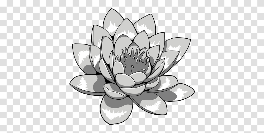 Lotus Flower Black And White Japanese Lotus, Plant, Blossom, Pond Lily, Dahlia Transparent Png