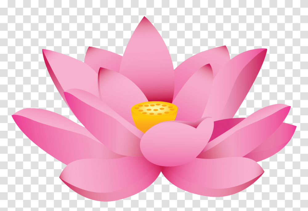 Lotus Flower Cartoon, Plant, Lily, Blossom, Pond Lily Transparent Png