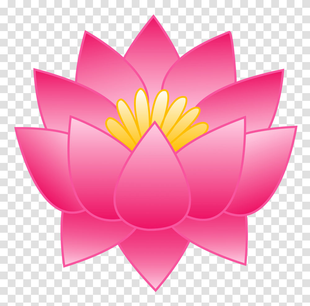 Lotus Flower Clip Art, Plant, Blossom, Lily, Pond Lily Transparent Png