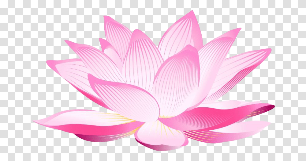 Lotus Flower Clipart All Lotus Flower Background, Plant, Blossom, Lily, Petal Transparent Png