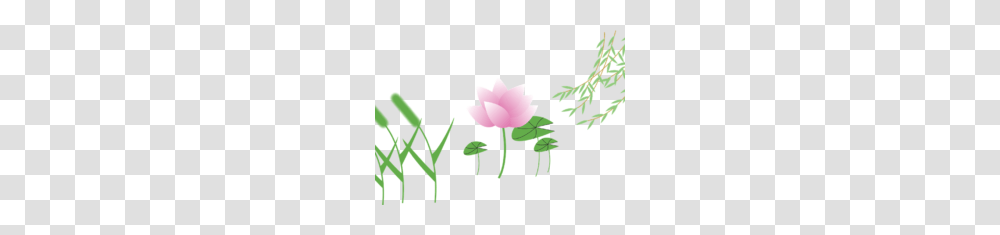 Lotus Flower Clipart Black White All Watsupp Status And, Plant, Blossom, Petal, Leaf Transparent Png