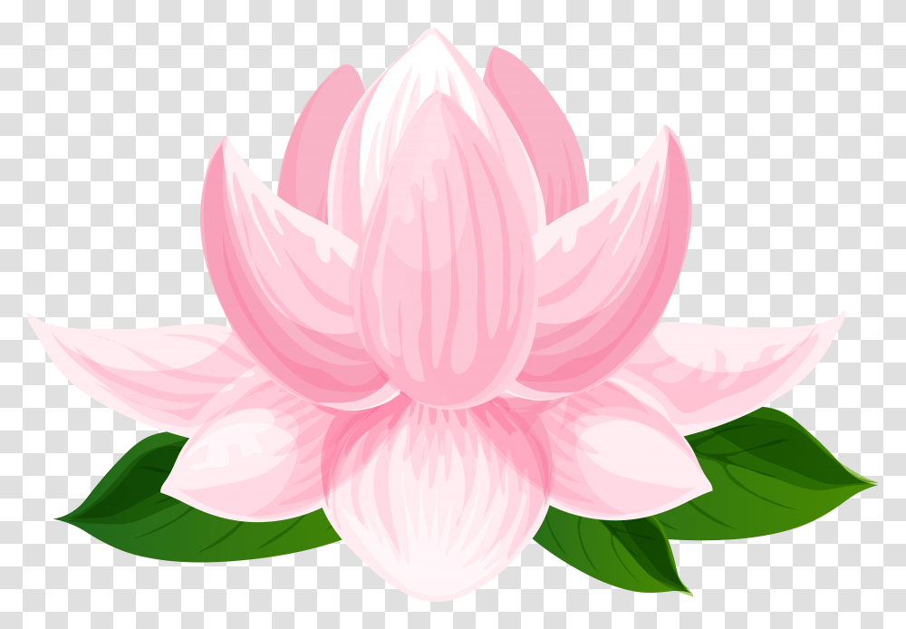 Lotus Flower Clipart Sacred Lotus, Dahlia, Plant, Blossom, Petal Transparent Png