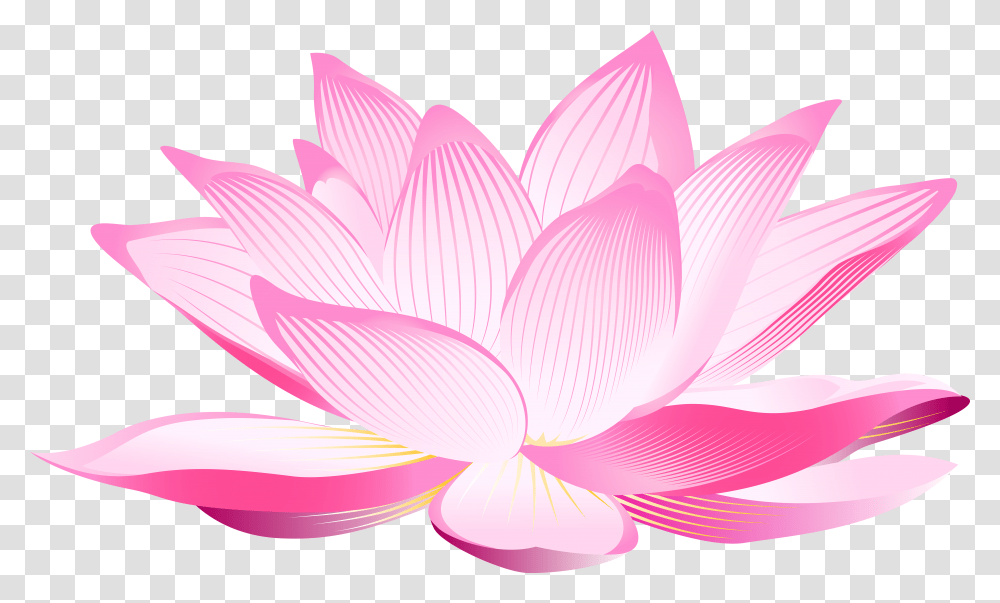 Lotus Flower Clipart Transparent Png