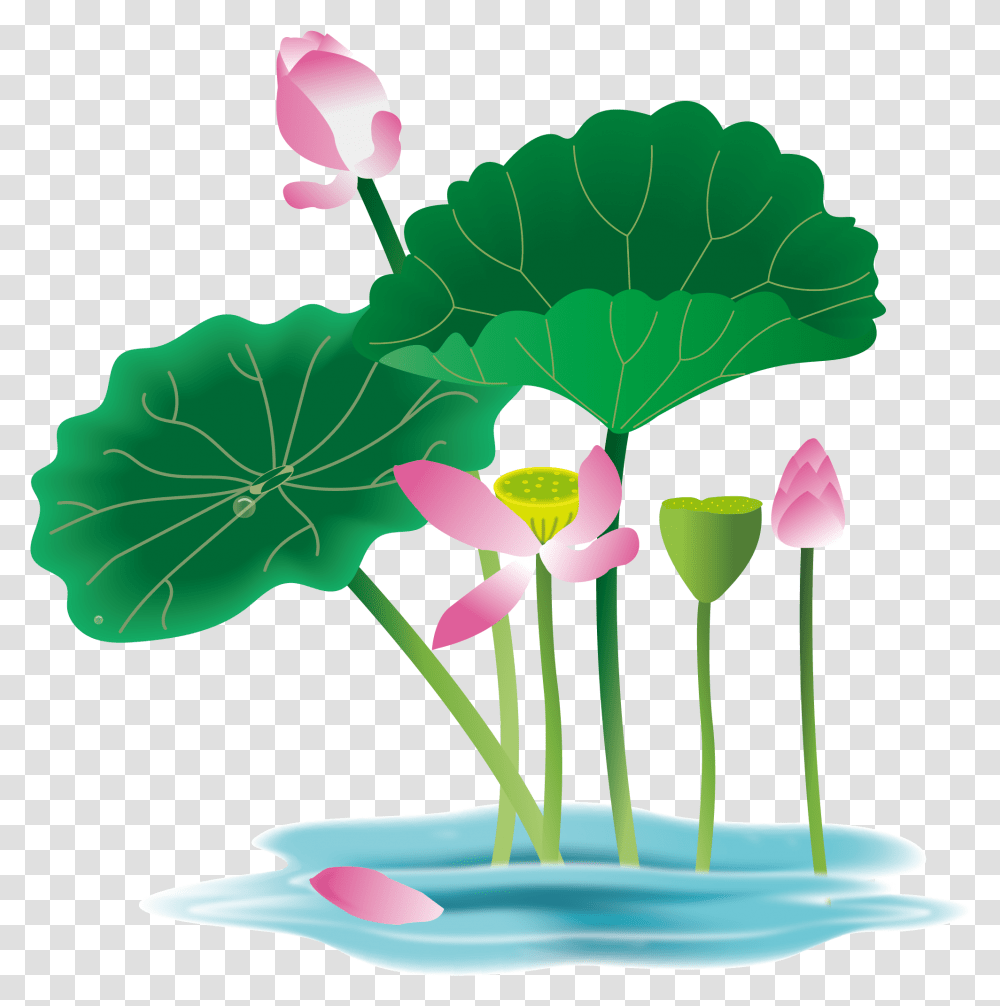 Lotus Flower Graphic Hand Painted Flower Plant Water Waterlily Vector, Petal, Leaf, Geranium, Anther Transparent Png