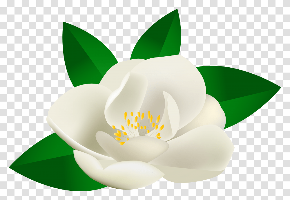 Lotus Flower Green, Plant, Petal, Anther, Pollen Transparent Png