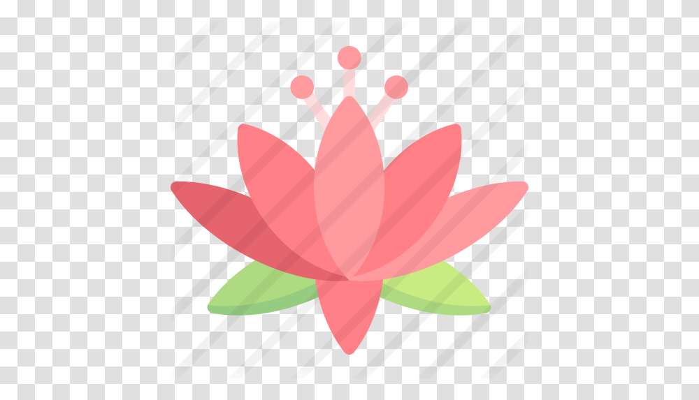 Lotus Flower Hemp, Plant, Blossom, Petal, Lily Transparent Png