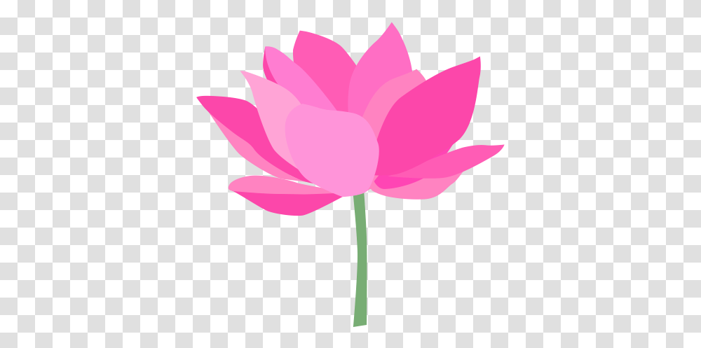 Lotus Flower Icon Vector Graphics, Plant, Blossom, Petal, Rose Transparent Png