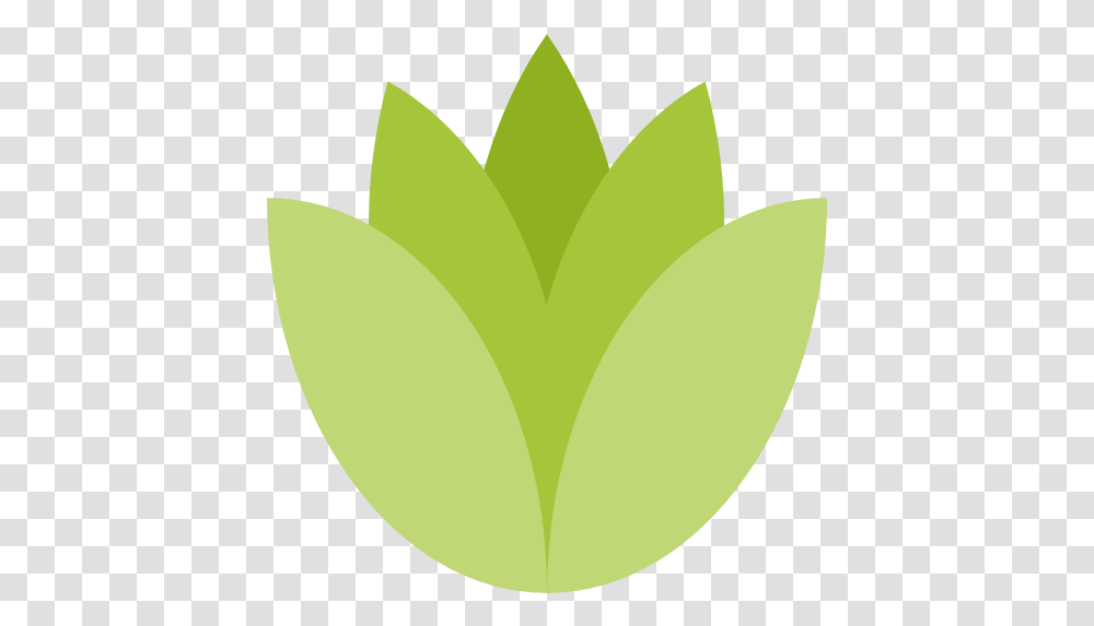 Lotus Flower Icon Yoga Vector Icon Set 491, Plant, Leaf, Vase, Jar Transparent Png