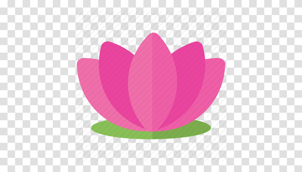 Lotus Flower Lotus Logo Purple Lotus Spa Flower Water Lily Icon, Petal, Plant, Blossom, Pond Lily Transparent Png
