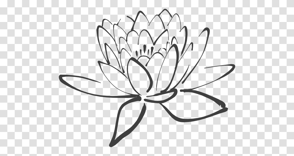 Lotus Flower Outline, Dahlia, Plant, Spider, Animal Transparent Png