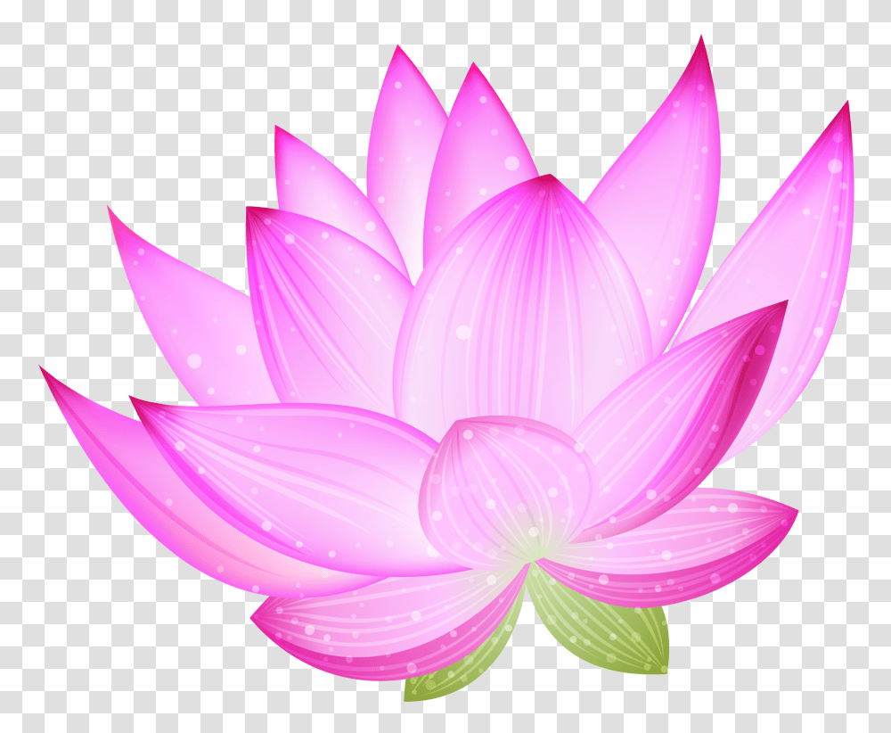 Lotus Flower, Petal, Plant, Blossom, Dahlia Transparent Png