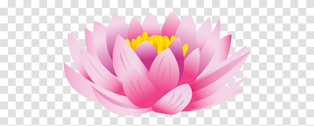 Lotus Flower, Plant, Blossom, Lily, Dahlia Transparent Png