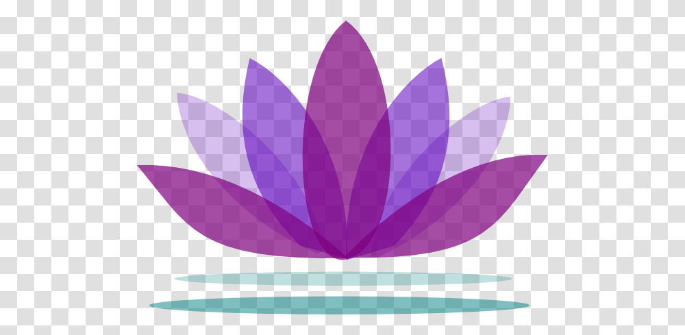Lotus Flower, Plant, Blossom, Pond Lily, Dahlia Transparent Png