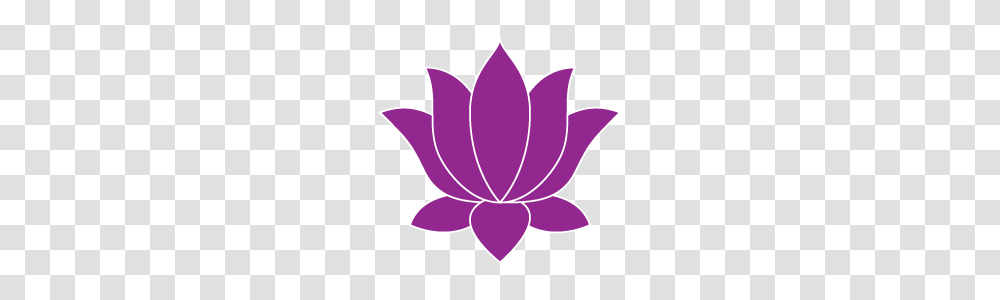 Lotus Flower, Plant, Petal, Logo Transparent Png