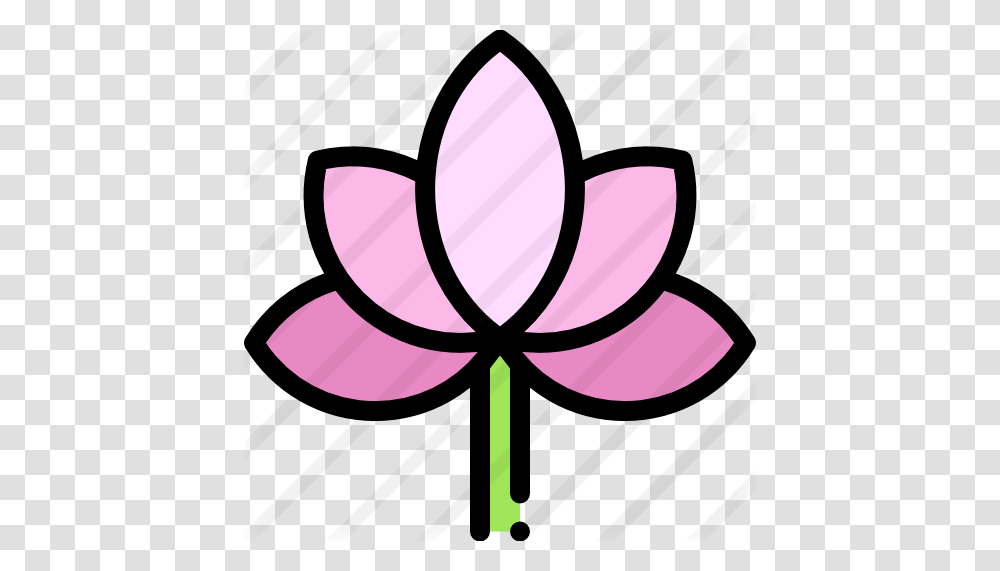 Lotus Flower, Purple, Plant, Blossom, Lamp Transparent Png