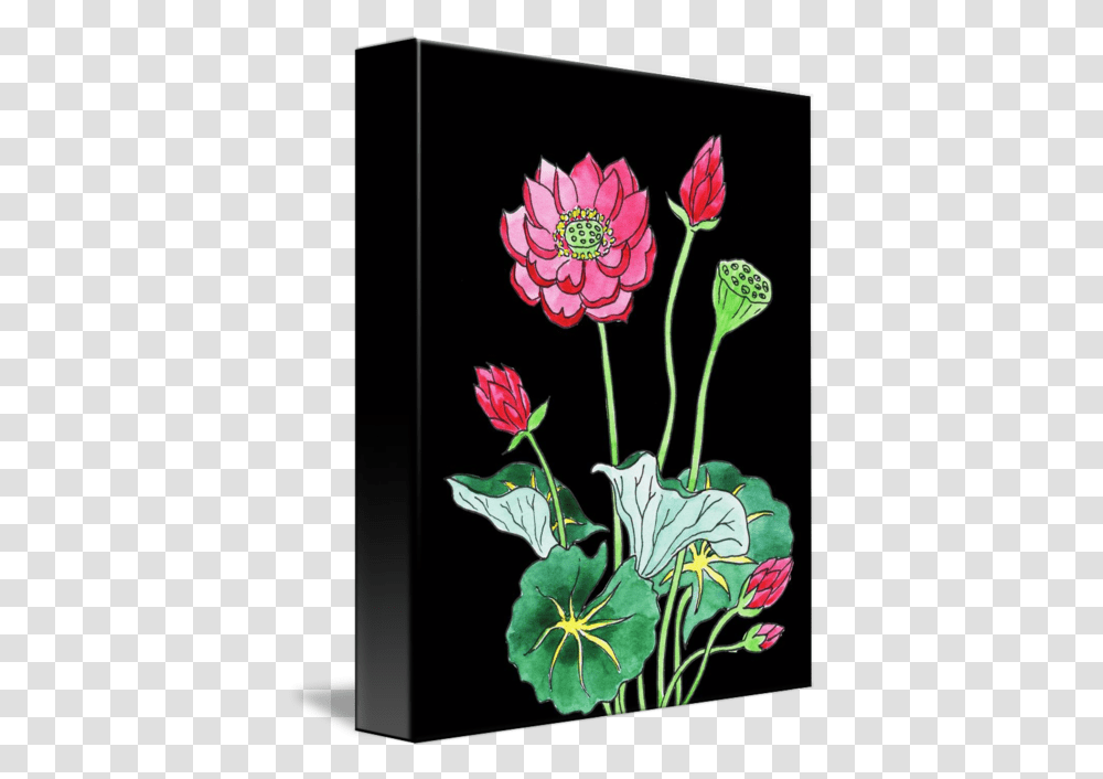Lotus Flower Watercolor With Black Lotus Flower Black Background, Graphics, Art, Floral Design, Pattern Transparent Png