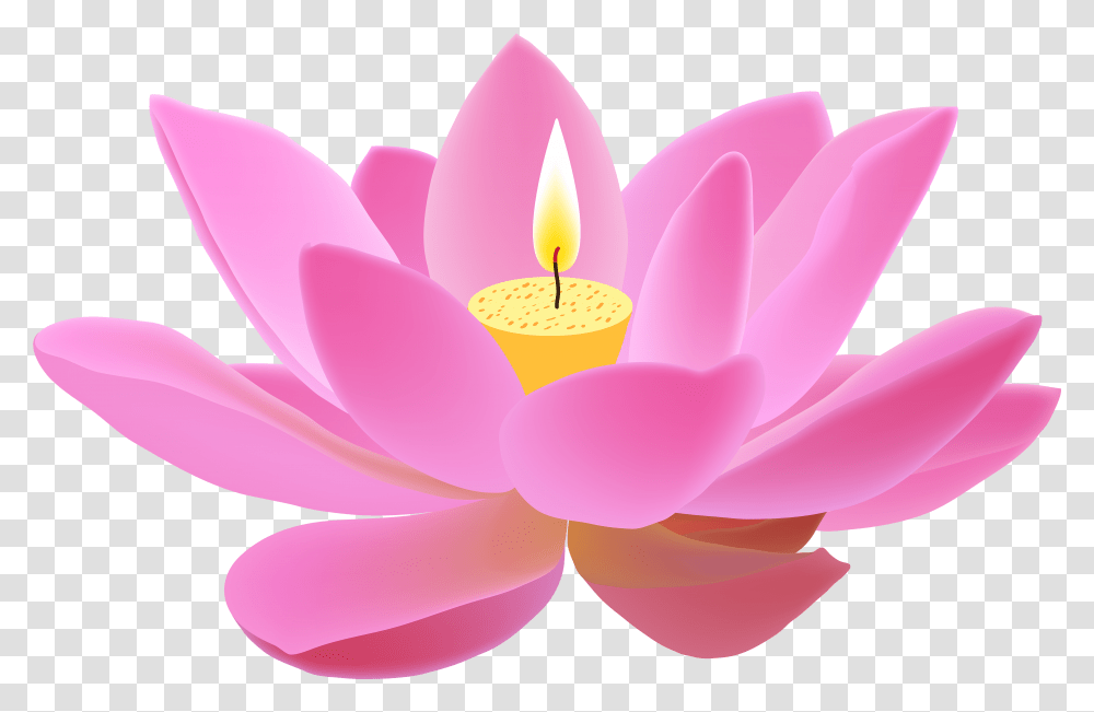 Lotus Free Clip Diya Image Hd, Plant, Flower, Blossom, Pond Lily Transparent Png