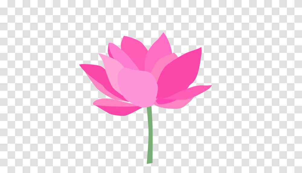 Lotus Icons Download Free And Vector Icons Unlimited Free, Plant, Flower, Blossom, Petal Transparent Png