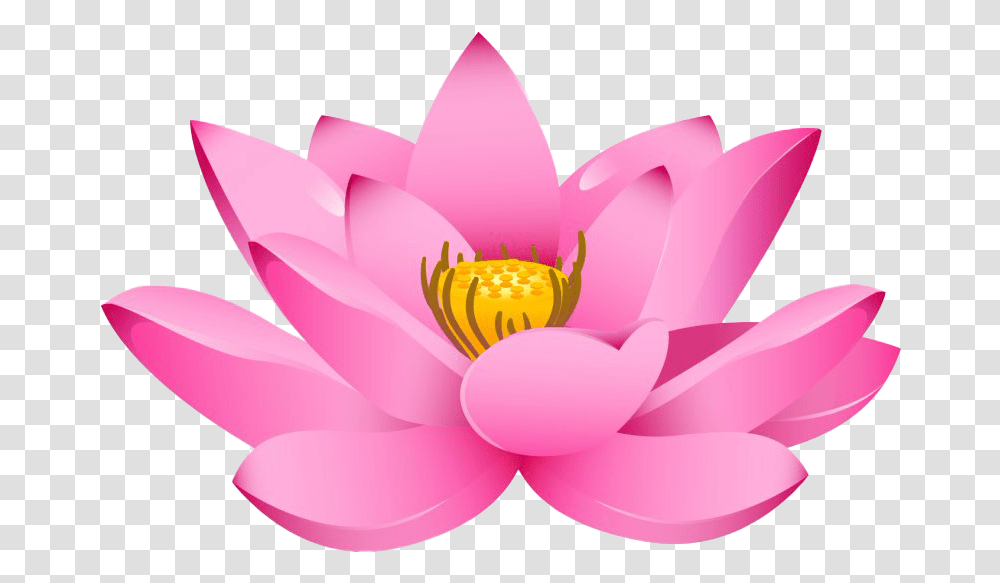 Lotus Images All Clipart Lotus Flower, Plant, Lily, Blossom, Pond Lily Transparent Png