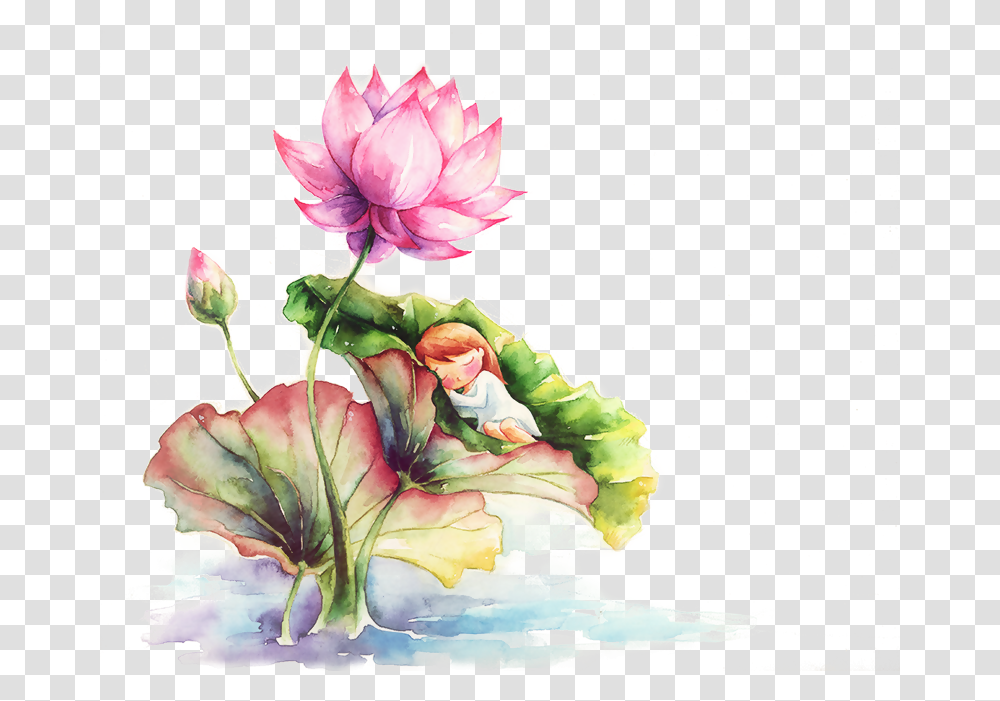Lotus Paint, Plant, Flower, Blossom, Painting Transparent Png