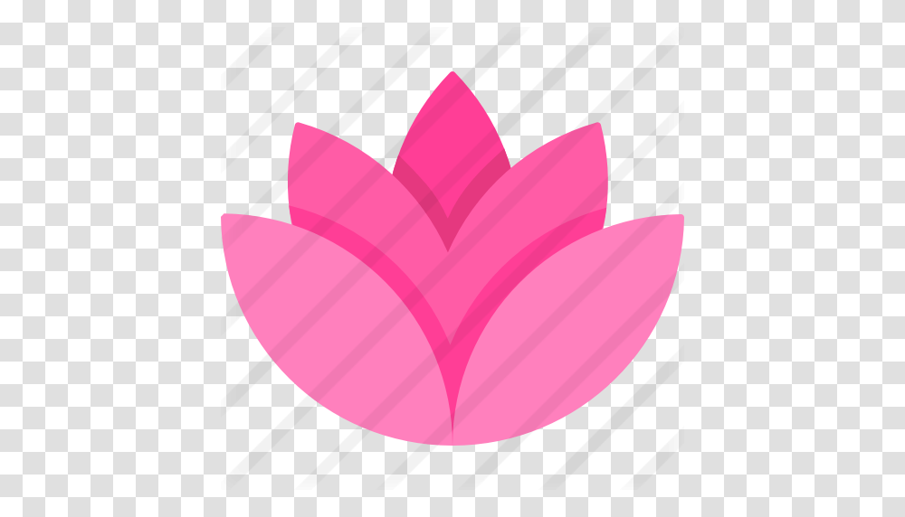Lotus, Petal, Flower, Plant, Blossom Transparent Png