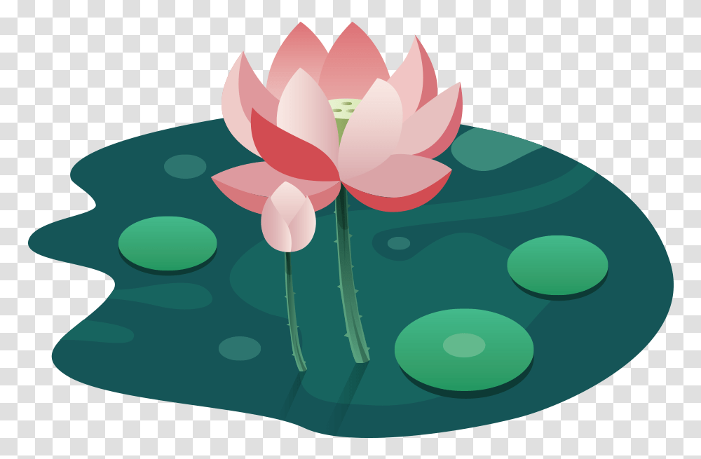 Lotus, Plant, Flower, Blossom, Birthday Cake Transparent Png