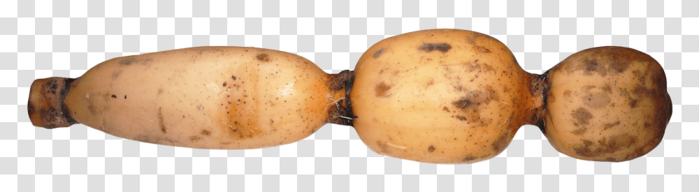 Lotus Root Image, Vegetable, Plant, Potato, Food Transparent Png