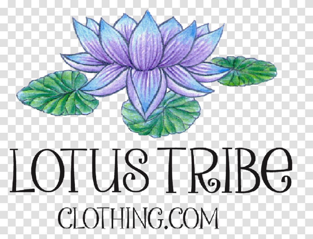 Lotus Tribe Clothing Sacred Lotus, Plant, Potted Plant, Vase, Jar Transparent Png