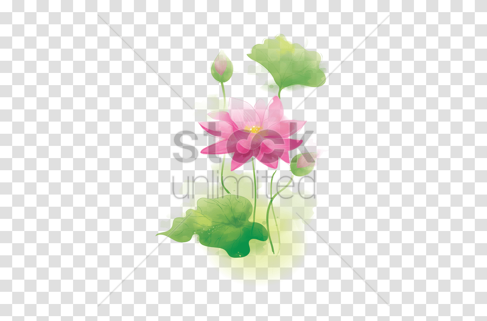 Lotus Vector Image, Floral Design, Pattern Transparent Png