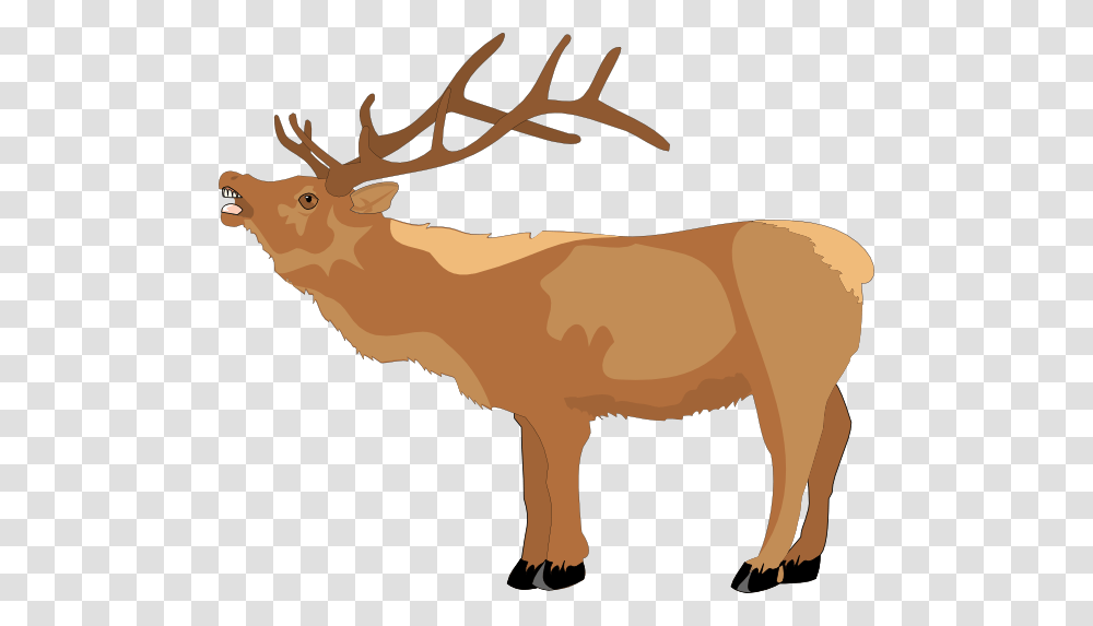 Loud Animal Clip Art, Elk, Deer, Wildlife, Mammal Transparent Png