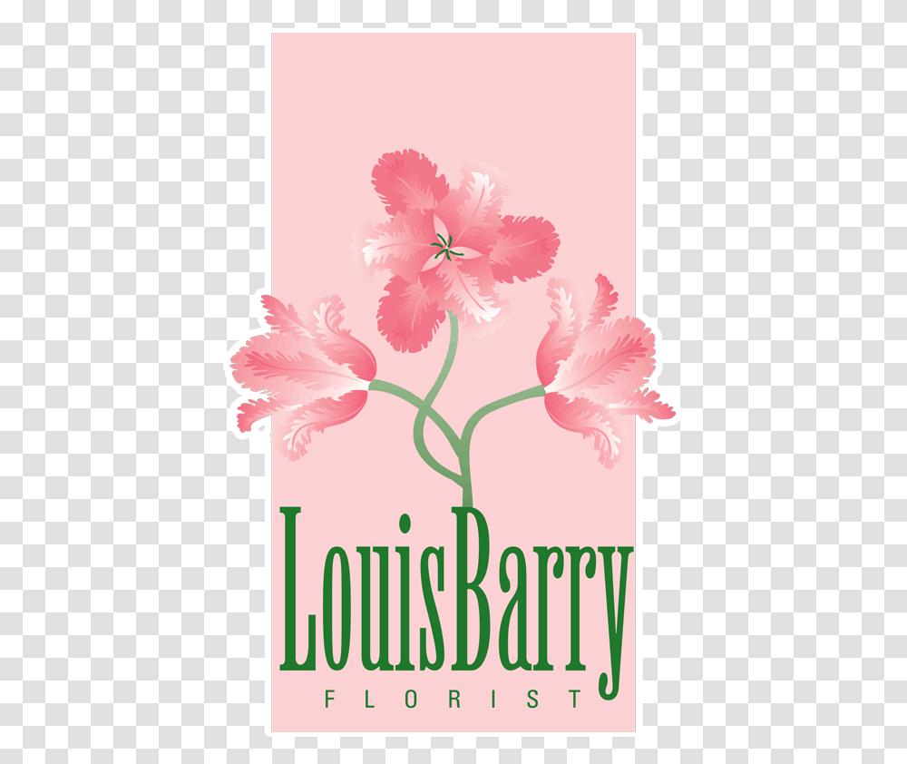 Louis Barry Florist, Plant, Hibiscus, Flower, Blossom Transparent Png