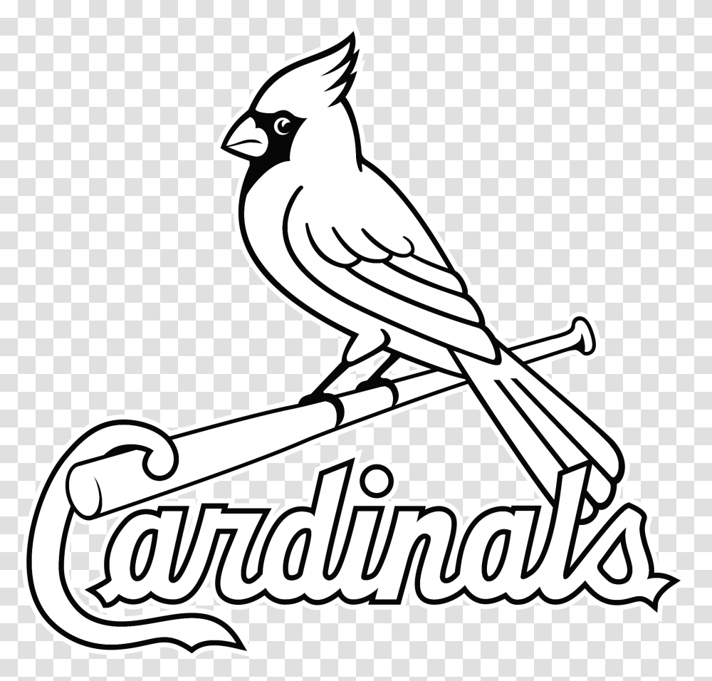 Louis Cardinals Logo Amp Svg Vector St Louis Cardinals Logo Outline, Jay, Bird, Animal, Blue Jay Transparent Png