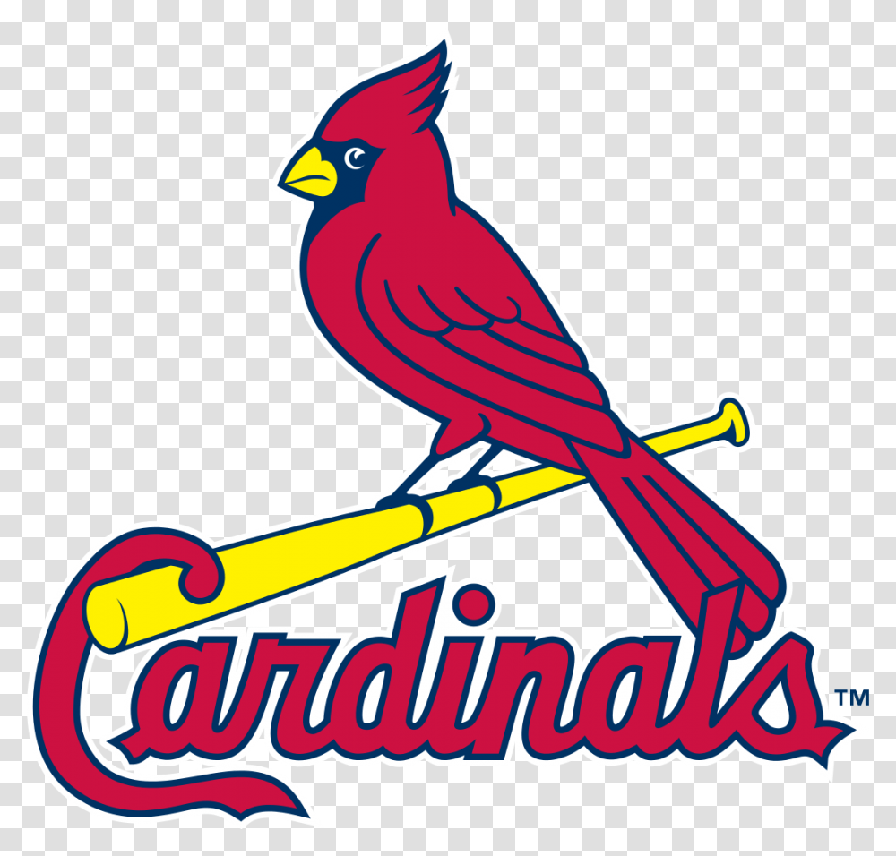 Louis Cardinals Logo Stl Cardinals Logo, Animal, Bird, Jay Transparent Png