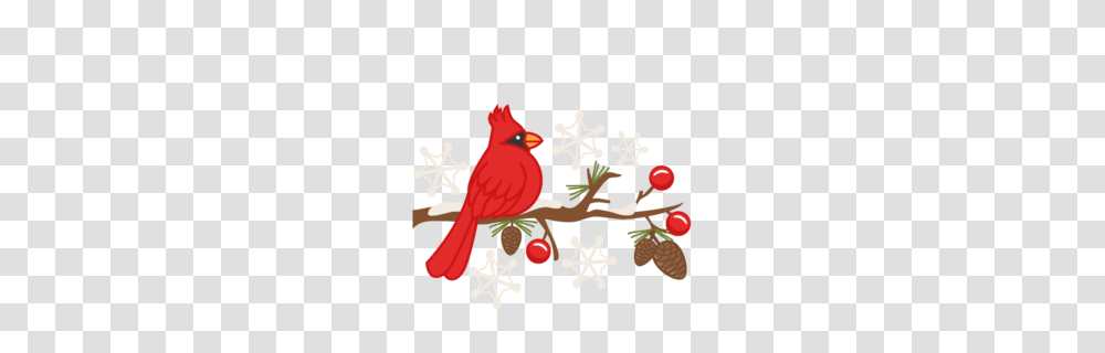 Louis Clipart, Cardinal, Bird, Animal Transparent Png