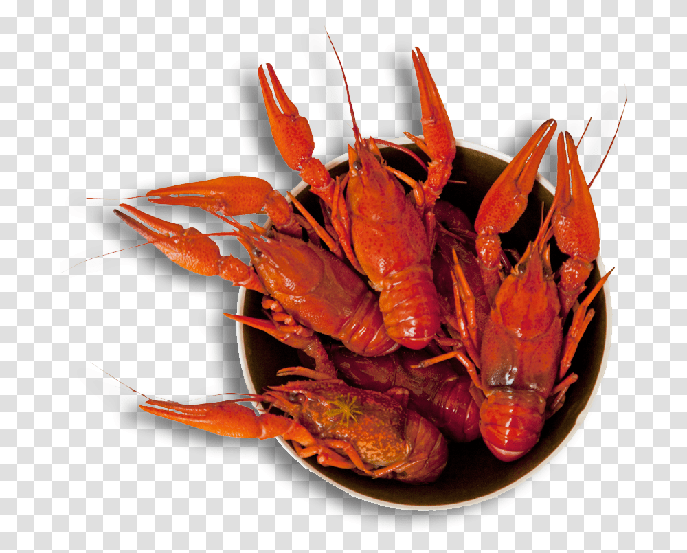 Louisiana Svg Crawfish Crab Boil, Lobster, Seafood, Sea Life, Animal Transparent Png
