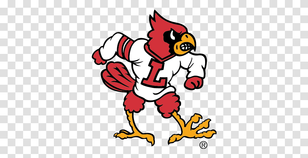 Louisville Cardinals Basketball Lawson Cardinals, Person, Human, Bird, Animal Transparent Png