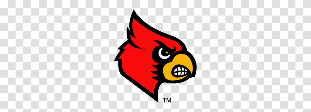 Louisville Cardinals Logo College Football Logos Cardinals, Dynamite, Bomb, Weapon, Weaponry Transparent Png
