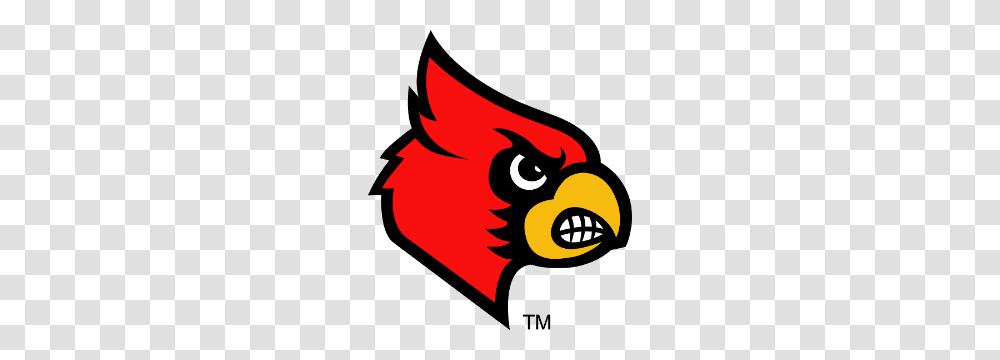 Louisville Injury Report For Saturdays Football Game, Angry Birds, Dynamite, Bomb, Weapon Transparent Png