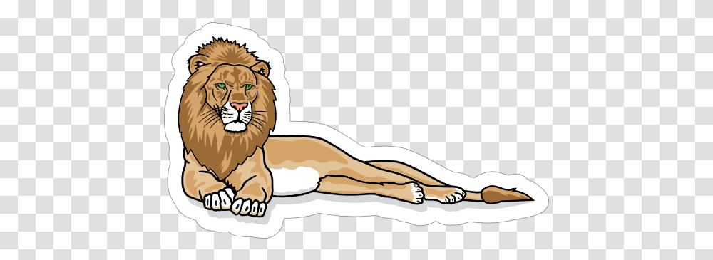 Lounging Lion Mascot Sticker Masai Lion, Animal, Wildlife, Mammal, Bird Transparent Png
