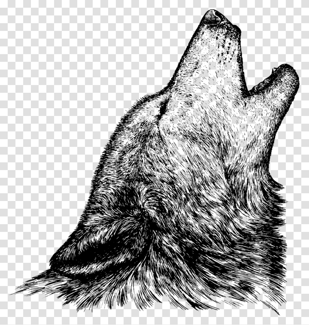 Loup Sketch, Gray, World Of Warcraft Transparent Png