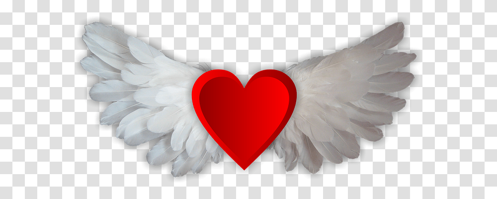 Love Emotion, Bird, Animal, Heart Transparent Png